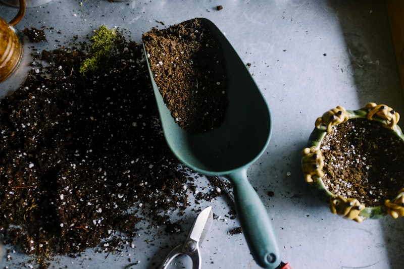 Essentiels de jardinage printanier : outils et conseils pour un beau jardin